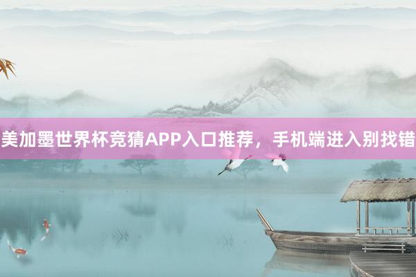 美加墨世界杯竞猜APP入口推荐，手机端进入别找错