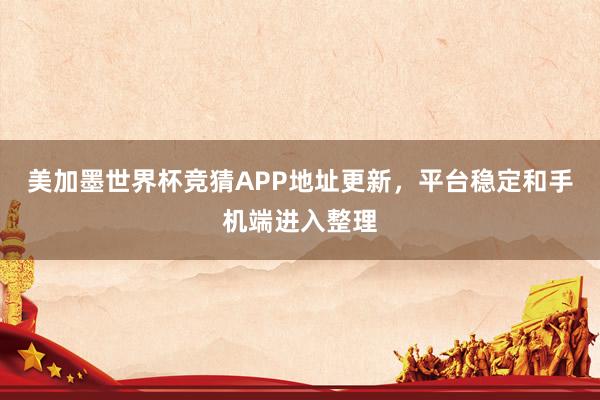 美加墨世界杯竞猜APP地址更新，平台稳定和手机端进入整理